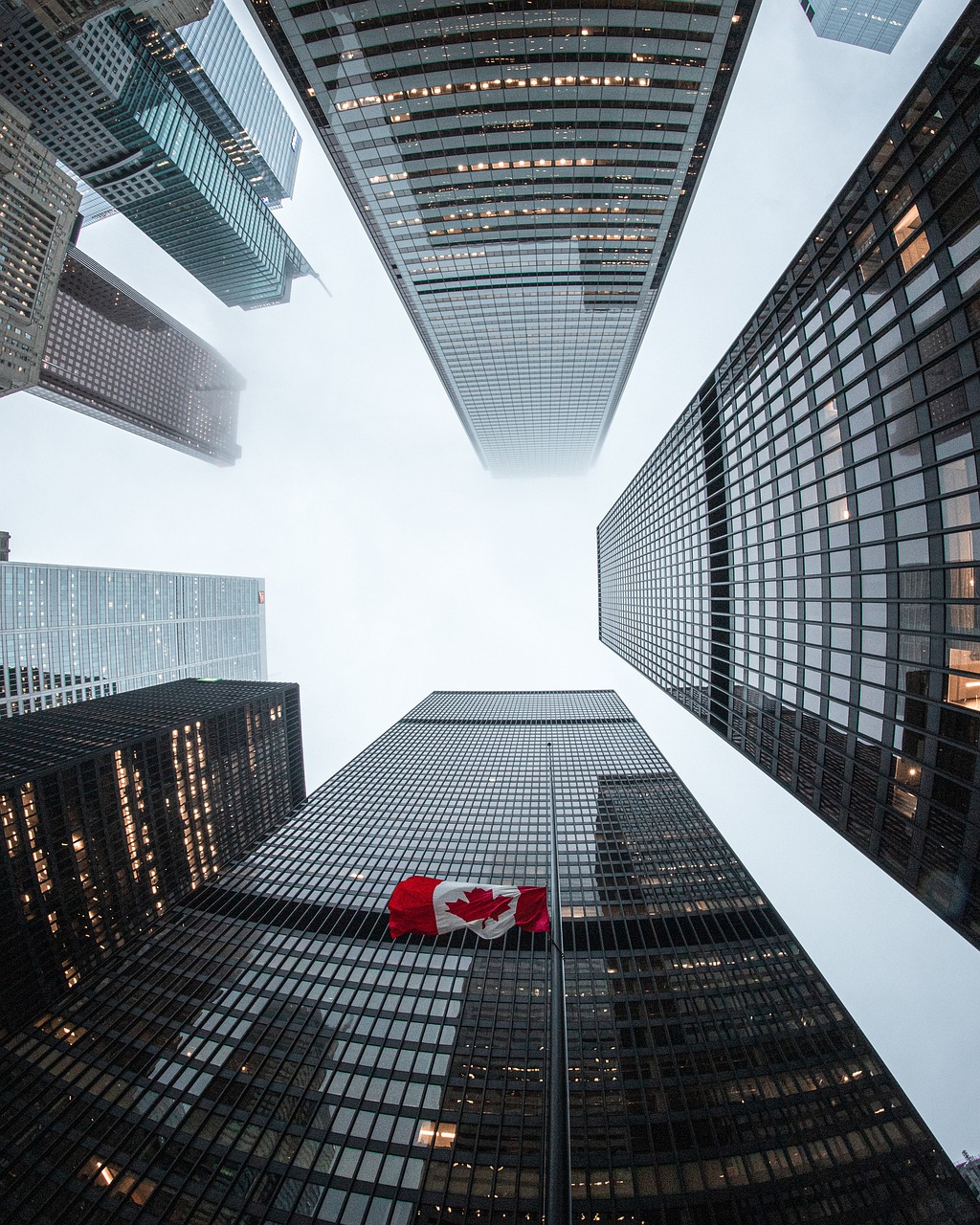 Introduction to Chrystia Freeland and Her Influence on Stocks